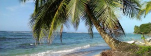 Essential Things to do in Panama